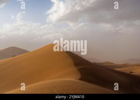 Vent soufflant le sable dans le désert du Sahara, Maroc, Afrique. Banque D'Images