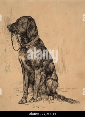 Chien d'Aldrich, fin des années 1880, stylo et encre noire touché avec du blanc sur papier pondu préparé, total : 26,6 x 21 cm (10 1/2 x 8 1/4 po.), Arthur B. Davies (artiste) américain, 1862 - 1928 Banque D'Images