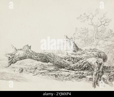 Jean-Antoine Constantin, français, 1756 - 1844, un arbre antique tombé à côté d'un ruisseau, c. 1814, plume et encre noire et grise sur craie noire sur papier déposé, total : 41,4 x 52,5 cm (16 5, 16 x 20 11, 16 po Banque D'Images