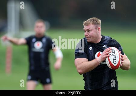 Cardiff, Royaume-Uni. 15 novembre 2024. Dewi Lake of Wales lors de l'entraînement de l'équipe de rugby du pays de Galles, Hensol, Vale of Glamorgan le vendredi 15 novembre 2024. L'équipe s'entraîne avant le prochain match international d'automne contre l'Australie. photo par Andrew Orchard/Alamy Live News Banque D'Images