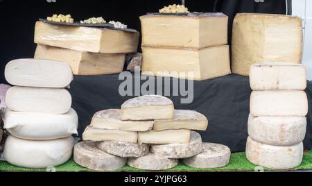 Dégustation de différents fromages à pâte dure dans la fromagerie italienne, dégustation de cubes à bord Banque D'Images