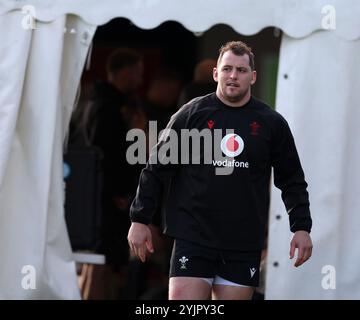 Cardiff, Royaume-Uni. 15 novembre 2024. Ryan Elias du pays de Galles lors de l'entraînement de l'équipe de rugby du pays de Galles, Hensol, Vale of Glamorgan le vendredi 15 novembre 2024. L'équipe s'entraîne avant le prochain match international d'automne contre l'Australie. photo par Andrew Orchard/Alamy Live News Banque D'Images