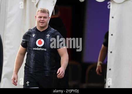 Cardiff, Royaume-Uni. 15 novembre 2024. Dewi Lake of Wales lors de l'entraînement de l'équipe de rugby du pays de Galles, Hensol, Vale of Glamorgan le vendredi 15 novembre 2024. L'équipe s'entraîne avant le prochain match international d'automne contre l'Australie. photo par Andrew Orchard/Alamy Live News Banque D'Images