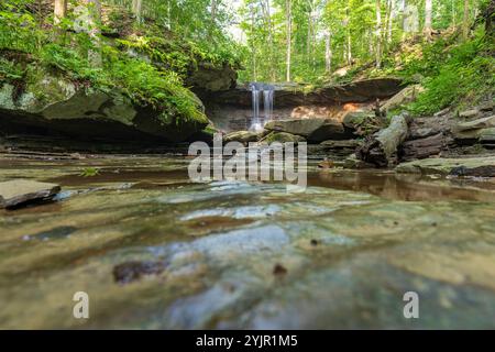 poule bleue tombe cuyahoga valley Banque D'Images