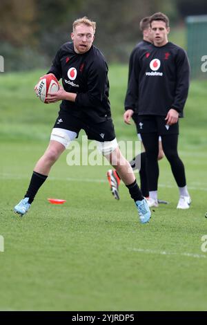 Cardiff, Royaume-Uni. 15 novembre 2024. Tommy Reffell du pays de Galles lors de l'entraînement de l'équipe de rugby du pays de Galles, Hensol, Vale of Glamorgan le vendredi 15 novembre 2024. L'équipe s'entraîne avant le prochain match international d'automne contre l'Australie. photo par Andrew Orchard/Alamy Live News Banque D'Images