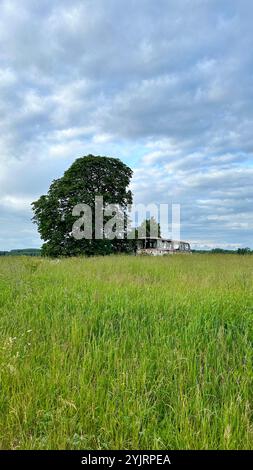 Bus abandonné par un grand arbre au milieu de la prairie, photographié un jour nuageux d'été. Banque D'Images