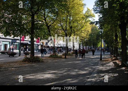 Soleil matinal d'automne le long de Karl Johnas Gate dans le centre d'Oslo, Norvège, Banque D'Images