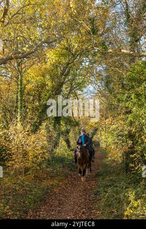 Femelle chevauchant son cheval le long d'une passerelle de campagne bordée d'arbres dans leur couleur d'automne. Banque D'Images