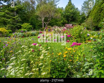 Automne dans le jardin de Thuya un jardin herbacé semi-formel sur Mount Desert Island dans le nord-est de Harbor Maine USA Banque D'Images