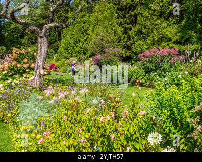 Automne dans le jardin de Thuya un jardin herbacé semi-formel sur Mount Desert Island dans le nord-est de Harbor Maine USA Banque D'Images