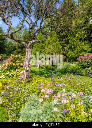Automne dans le jardin de Thuya un jardin herbacé semi-formel sur Mount Desert Island dans le nord-est de Harbor Maine USA Banque D'Images
