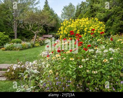 Automne dans le jardin de Thuya un jardin herbacé semi-formel sur Mount Desert Island dans le nord-est de Harbor Maine USA Banque D'Images