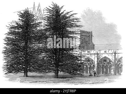 Dans The Cloisters, Salisbury, 1872. « Les parties ecclésiastiques et civiques de Salisbury sont très distinctes l'une de l'autre. Ils sont séparés par le mur du proche, qui contient la noble cathédrale, le palais épiscopal, le doyanerie, et les résidences des chanoines et Prébendaires. Les cloîtres, avec leurs gracieuses arcades, soutenues par des piliers groupés, leurs pelouses vertes lisses et leurs majestueux cèdres sont très beaux. Tiré de "Illustrated London News", 1872. Banque D'Images