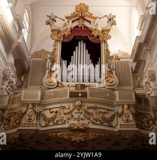 Orgue dans la cathédrale de l'Assomption de la Vierge Marie, vieille ville, Dubrovnik, Dalmatie, Croatie. Banque D'Images