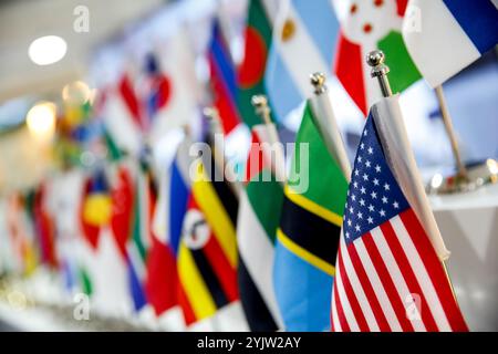 Bakou, Azerbaïdjan. 15 novembre 2024. Des drapeaux nationaux sont affichés dans la zone verte lors de la COP29 de la Conférence des Nations Unies sur les changements climatiques, un événement organisé par la Convention-cadre des Nations Unies sur les changements climatiques (CCNUCC) au stade olympique de Bakou. La COP29, qui se déroule du 11 au 22 novembre, se concentre sur le financement climatique. Crédit : SOPA images Limited/Alamy Live News Banque D'Images