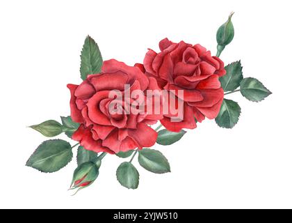 Illustration aquarelle de bouquet rose rouge foncé de jardin. Fleurs en fleurs, bourgeons et feuilles vertes peignant dans un style réaliste. pour salutations de mariage Banque D'Images