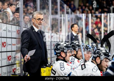 Mark French (entraîneur, entraîneur, entraîneur principal, ERC Ingolstadt ), Nuernberg Ice Tigers v. ERC Ingolstadt, Eishockey, Penny DEL, 16. Spieltag, 15.11.2024, Foto : Eibner-Pressefoto/Thomas Hahn Banque D'Images