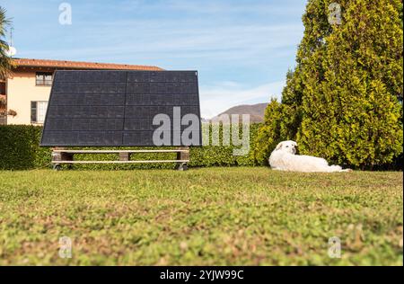 Un panneau photovoltaïque sur une palette en bois dans un jardin de la maison. Concept d'énergie verte. Banque D'Images