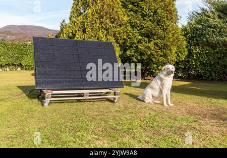 Un panneau photovoltaïque sur une palette en bois dans un jardin de la maison. Concept d'énergie verte. Banque D'Images