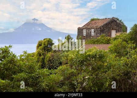 Vue sur le Mont Pico depuis le village Calheta dans l'île de Sao Jorge, Açores. Banque D'Images