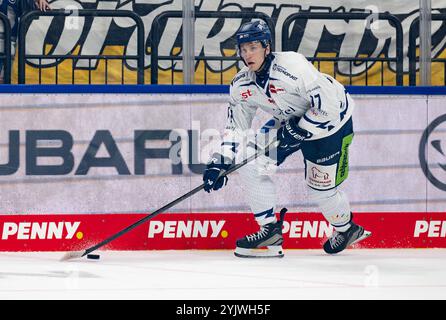 Nelson Nogier (Straubing Tigers, no 77). GER, EHC Red Bull Muenchen v. Straubing Tigers, Eishockey, DEL, 16. Spieltag, saison 2024/2025, 15.11.2024. Foto : Eibner-Pressefoto/Heike Feiner Banque D'Images