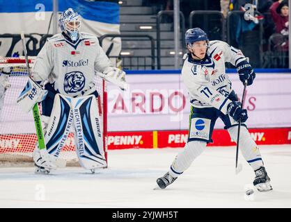 Nelson Nogier (Straubing Tigers, no 77). GER, EHC Red Bull Muenchen v. Straubing Tigers, Eishockey, DEL, 16. Spieltag, saison 2024/2025, 15.11.2024. Foto : Eibner-Pressefoto/Heike Feiner Banque D'Images