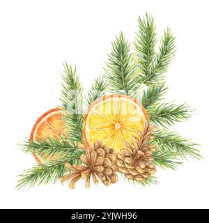Oranges, bâtonnets de cannelle, branches de pin et cônes. Aquarelle agrumes et clipart d'épicéa pour emballage de vacances, marketing saisonnier, ou décorations sur le thème de l'hiver. Ajoute une touche rustique aux projets de conception Banque D'Images