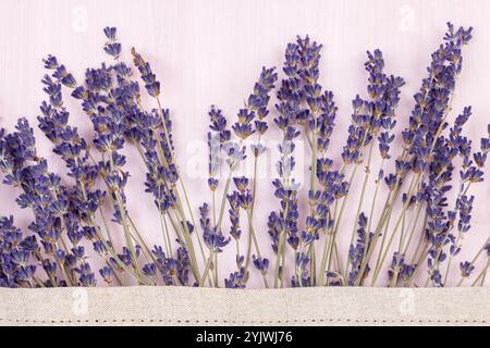 fleurs de lavande sèches sur un fond en bois Banque D'Images