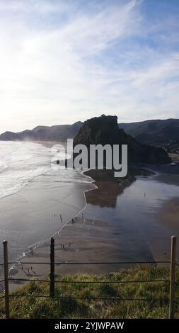 Photo de Lion Rock sur Piha Beach dans la région de Waitakere Ranges dans la région d'Auckland sur l'île du Nord de la Nouvelle-Zélande. Banque D'Images