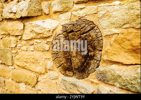 Poutre en rondins dans le mur de maçonnerie ; Aztek West ; Aztek Ruins National Monument ; Aztec ; Nouveau-Mexique ; États-Unis Banque D'Images