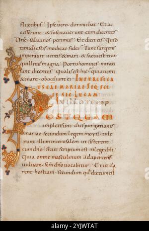 Décoré initial P ; Lectionary Gospel, fin du Xe siècle. Informations supplémentaires:cette page d'un lectionnaire ottonien montre comment les scribes médiévaux utilisaient la taille, la couleur et le style du script pour aider les lecteurs à comprendre le contenu d'un livre. Le texte écrit en rouge et surligné d'or près du milieu de la page est la rubrique pour la lecture de l'Évangile pour la purification de la Vierge. Il est écrit entièrement en lettres majuscules fines espacées uniformément appelées capitales rustiques. La rubrique explique que le texte suivant vient de l'Évangile de Luc. La lecture elle-même commence par les mots in illo temp[ore Banque D'Images