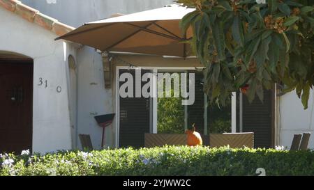 Los Angeles, Californie, USA 13 novembre actrice/chanteuse Judy Garland maison d'enfance où elle a vécu avec ses parents Père Francis Avent Gumm et mère Ethel Marion Milne au 3150 Glenmanor PL le 13 novembre 2024 à Los Angeles, Californie, USA. Judy Garland connue pour le Magicien d'Oz et Une étoile est née. Cette année marque le 85e anniversaire du Magicien d'Oz. La maison a été construite en 1925. Photo de Barry King/Alamy Stock photo Banque D'Images