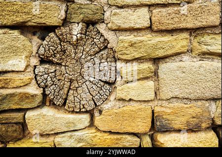 Poutre en rondins dans le mur de maçonnerie ; Aztek West ; Aztek Ruins National Monument ; Aztec ; Nouveau-Mexique ; États-Unis Banque D'Images