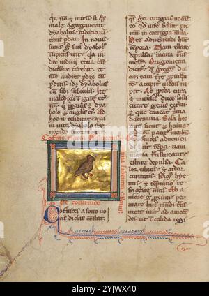 Une caille ; Bestiaire, vers 1270. Banque D'Images