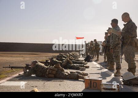 Les recrues du corps des Marines des États-Unis avec la Kilo Company, 3rd Recruit Training Battalion, dirigent la table un cours de tir au camp de base du corps des Marines Pendleton, Californie, 6 novembre 2024. Le tableau un couvre les principes de base du tir et de la sécurité des fusils dans toutes les positions de tir : assis, agenouillé et couché sur le ventre. (Photo du corps des Marines des États-Unis par le caporal Janell B. Alvarez) Banque D'Images