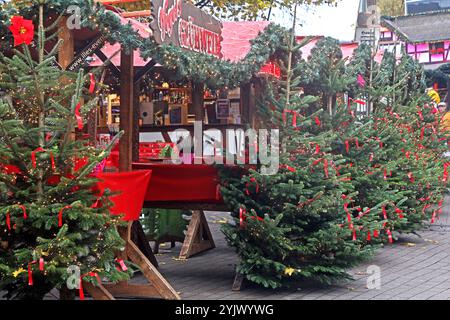 Weihnachtsmarkt im Herzen des Ruhrgebiets Der internationale Weihnachtsmarkt in Essen mit seinen leuchtenden Hütten. Essen Nordrhein-Westfalen Deutschland Ruhrgebiet *** marché de Noël au coeur de la Ruhr le marché international de Noël à Essen avec ses cabanes illuminées Essen Rhénanie du Nord-Westphalie Allemagne Ruhr Banque D'Images