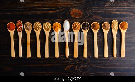 Berbere Spice Blend ingrédients en cuillères en bois : herbes et épices pour mélange d'épices Berbere éthiopiennes dans de petites cuillères en bois disposées en rangée Banque D'Images