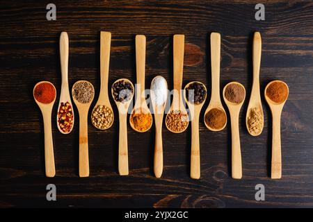 Berbere Spice Blend ingrédients en cuillères en bois : herbes et épices pour mélange d'épices Berbere éthiopiennes dans de petites cuillères en bois disposées en rangée Banque D'Images