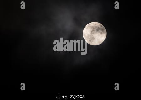 Cambridge, Royaume-Uni. 15 novembre 2024. Le Beaver Moon vu à son apogée à travers les nuages de Cambridge. La Beaver Moon a lieu en novembre et c'est la dernière super lune de 2024. (Photo de David Tramontan/SOPA images/SIPA USA) crédit : SIPA USA/Alamy Live News Banque D'Images