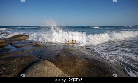 De l'eau moussante blanche éclabousse alors que les vagues de surf se brisent sur une grande plate-forme rocheuse sur le front de mer du promontoire rocheux à point Cartwright, Kawana, Queensland Banque D'Images