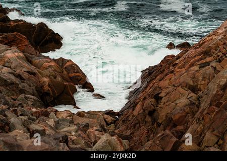 En regardant vers le sud le long du sentier Cabot depuis Lakies Head dans le parc national des Hautes-terres-du-Cap-Breton   Neils Harbour, Nouvelle-Écosse, CAN Banque D'Images