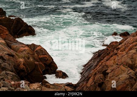 En regardant vers le sud le long du sentier Cabot depuis Lakies Head dans le parc national des Hautes-terres-du-Cap-Breton   Neils Harbour, Nouvelle-Écosse, CAN Banque D'Images