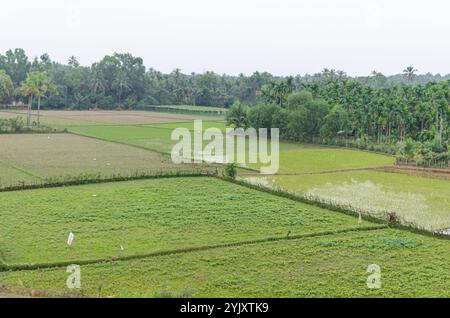 Magnifique paysage rural de l'Inde le long de la route du chemin de fer de Konkan de Goa à Mangalore. Banque D'Images