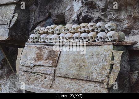 Un tas de têtes de crâne humain au cimetière de Buntu Kesu qui a plus de 700 ans à Tana Toraja, le 3 octobre 2024, Sulawesi Sud Banque D'Images