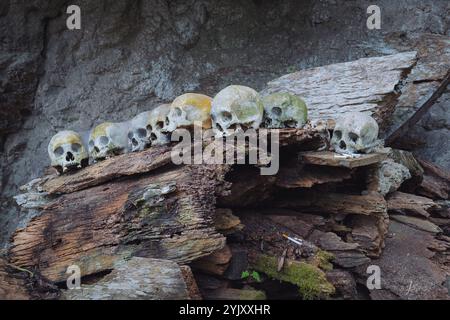 Un tas de têtes de crâne humain au cimetière de Buntu Kesu qui a plus de 700 ans à Tana Toraja, le 3 octobre 2024, Sulawesi Sud Banque D'Images