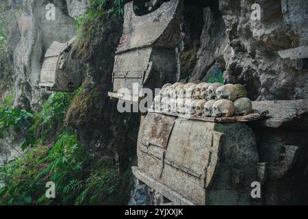 Un tas de têtes de crâne humain au cimetière de Buntu Kesu qui a plus de 700 ans à Tana Toraja, le 3 octobre 2024, Sulawesi Sud Banque D'Images