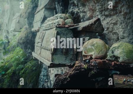 Un tas de têtes de crâne humain au cimetière de Buntu Kesu qui a plus de 700 ans à Tana Toraja, le 3 octobre 2024, Sulawesi Sud Banque D'Images