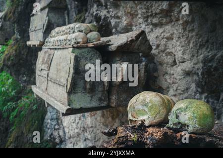 Un tas de têtes de crâne humain au cimetière de Buntu Kesu qui a plus de 700 ans à Tana Toraja, le 3 octobre 2024, Sulawesi Sud Banque D'Images