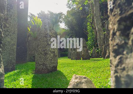 Mégalithes ou menhirs de Tana Toraja. Ancien cimetière torajan à Bori, Rantepao, Sulawesi, Indonésie. Banque D'Images