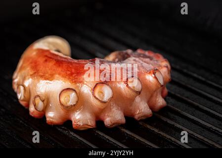 Tentacule de poulpe sur un gril, gros plan extrême. Banque D'Images